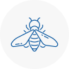 Bee Nest Removal Walton On Thames