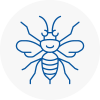 Walton On Thames Hornet Nest Removals