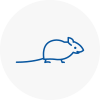 Mice Exterminators In Walton On Thames