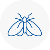 Moth Control Specialists In Walton On Thames