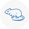Rat Control Walton On Thames