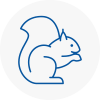 Walton On Thames Rodent Removals