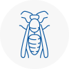 Walton On Thames Wasp Nest Removal